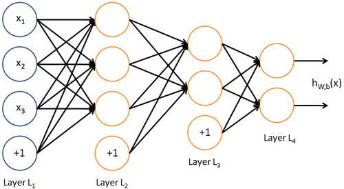 “feedforward neural network”
